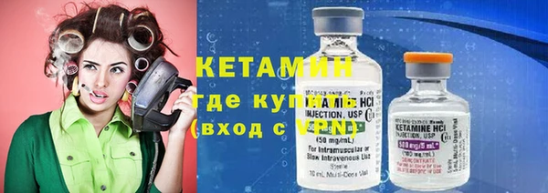 сатива Беломорск