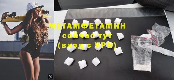 сатива Беломорск