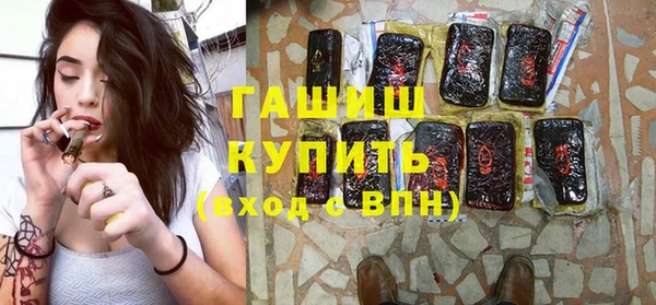сатива Беломорск
