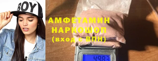 сатива Беломорск