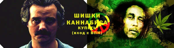 сатива Беломорск