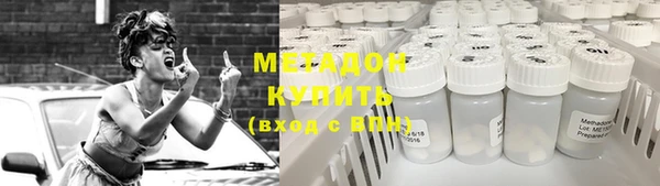 сатива Беломорск