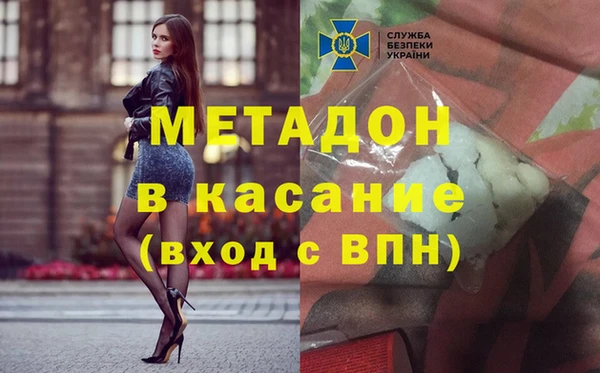 сатива Беломорск