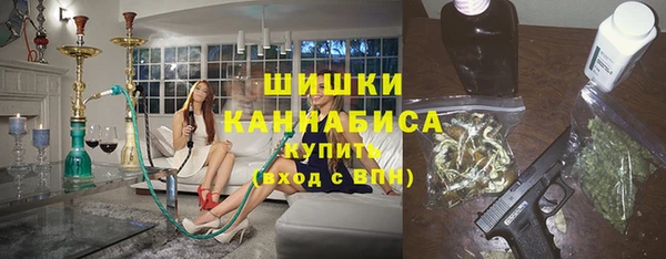 сатива Беломорск