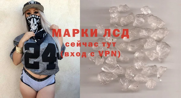 сатива Беломорск