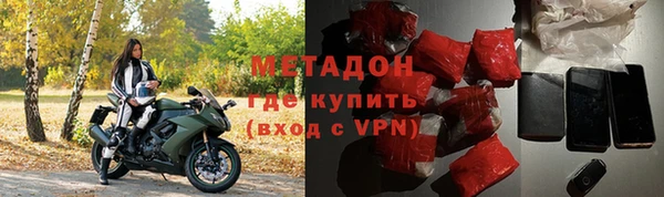 сатива Беломорск