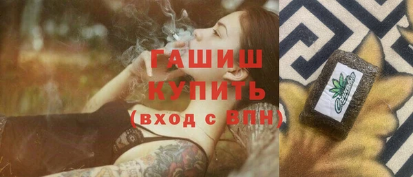 сатива Беломорск