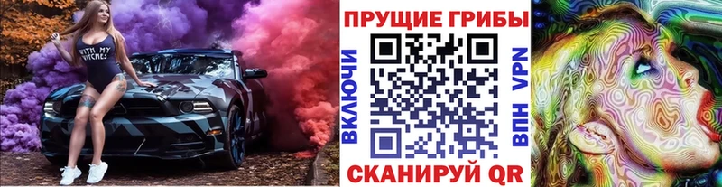 Псилоцибиновые грибы Cubensis  Славгород 