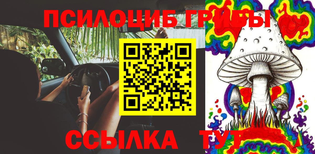 Славгород  Псилоцибиновые грибы Cubensis  Вход с VPN 